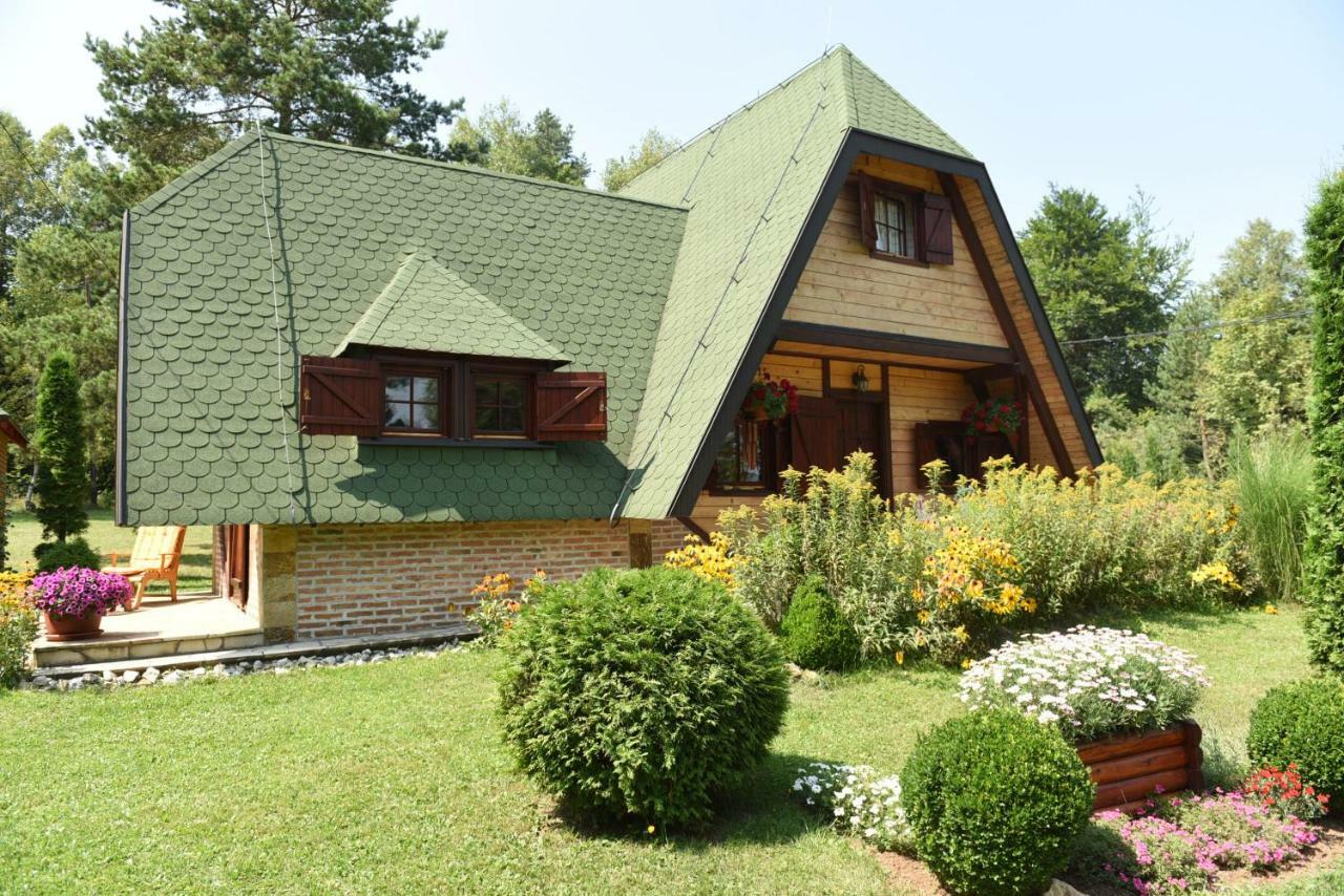 Visnjin Dom Villa Divcibare Bagian luar foto